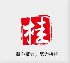 聚焦产业，努力援桂